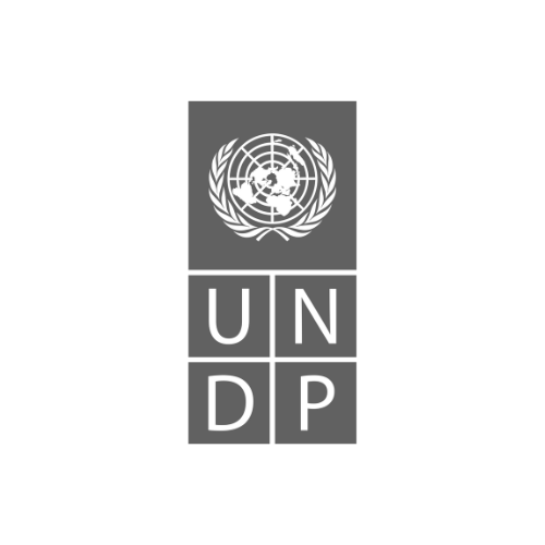 Platform Logo